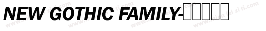 NEW GOTHIC FAMILY字体转换